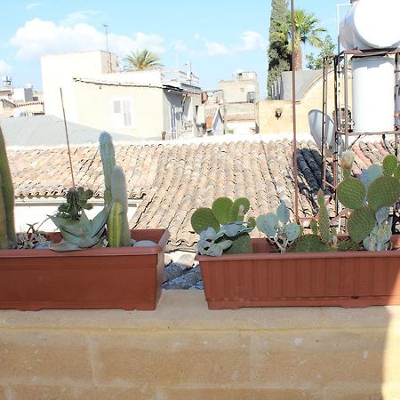 Pedieos Guest House Λευκωσία Εξωτερικό φωτογραφία