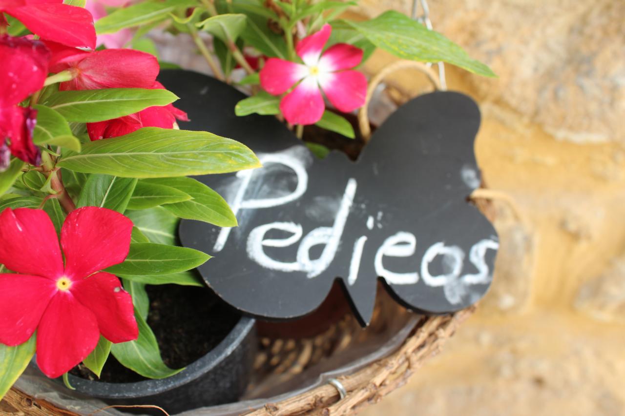 Pedieos Guest House Λευκωσία Εξωτερικό φωτογραφία